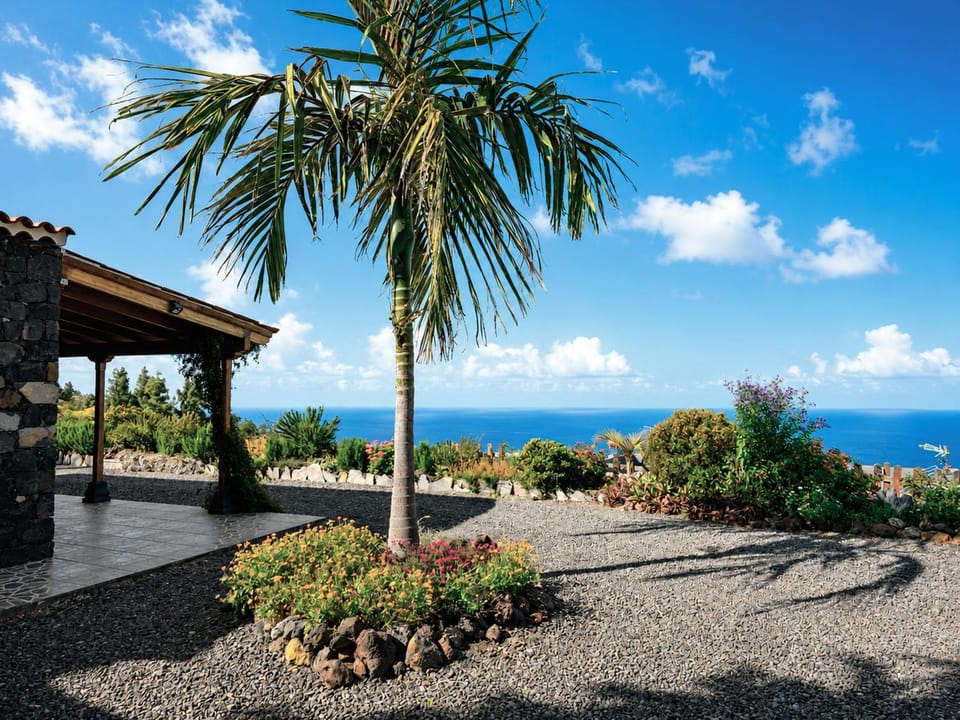Garden, Garden view, Sea view