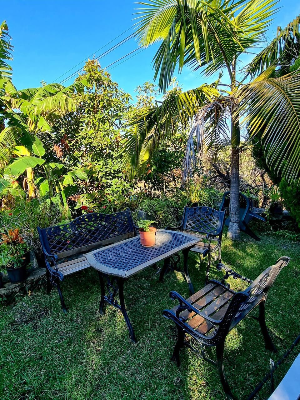 Garden