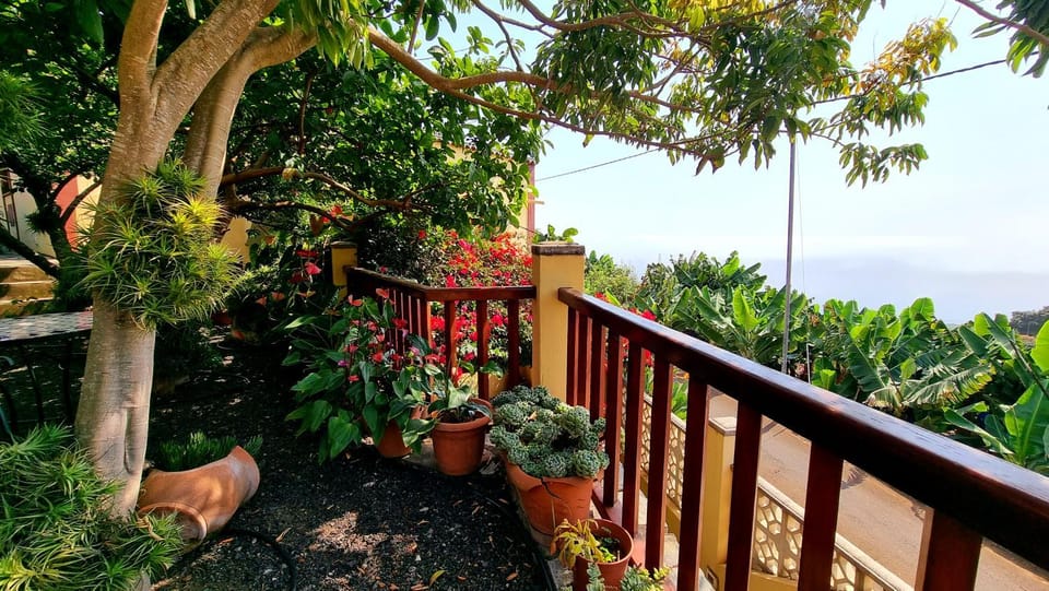 Garden, View (from property/room), Balcony/Terrace, Garden view