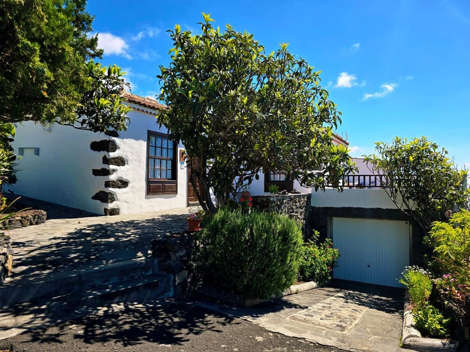 Property building, Day, Garden