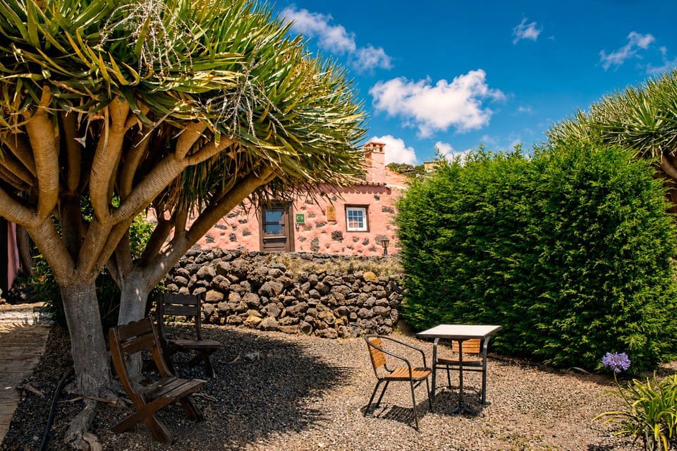 Property building, Garden, Garden view