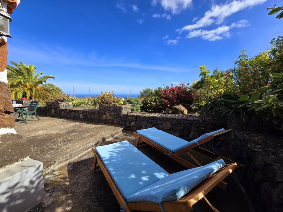 Patio, Garden view, sunbed