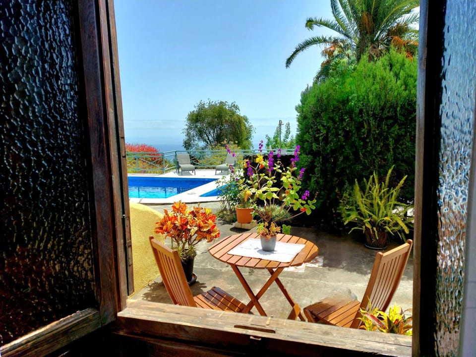 Patio, Natural landscape, Garden, Garden view, Pool view, Sea view, Swimming pool, sunbed