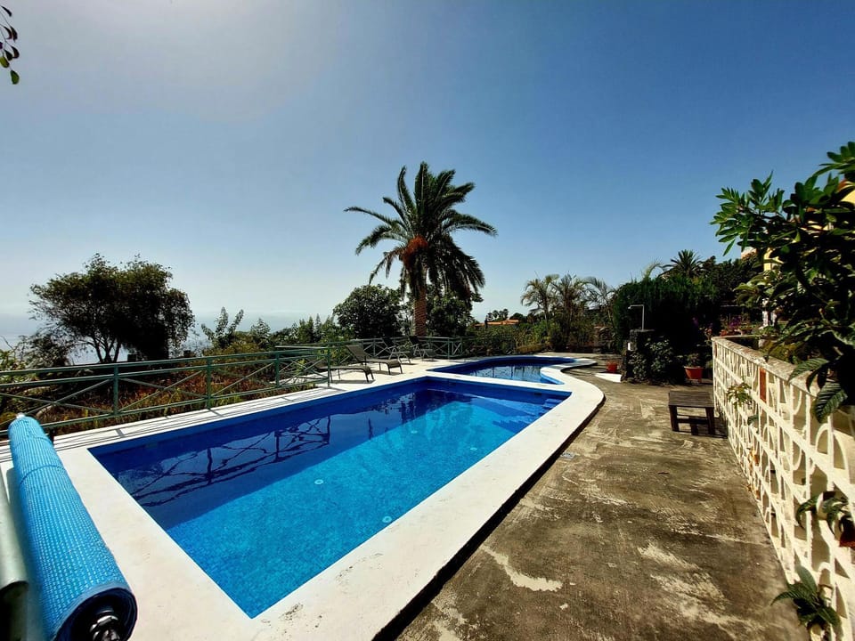 Pool view, Swimming pool, sunbed