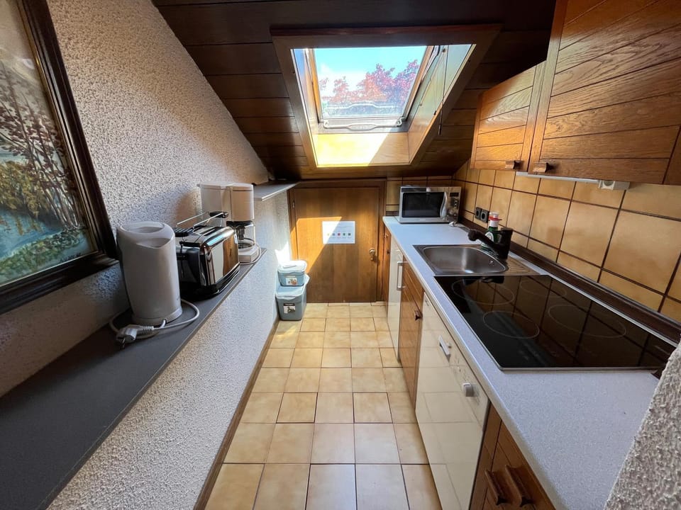 Kitchen or kitchenette, dishwasher