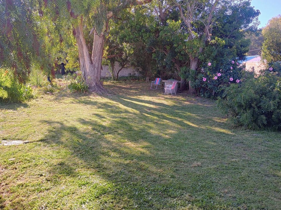 Garden, Garden view