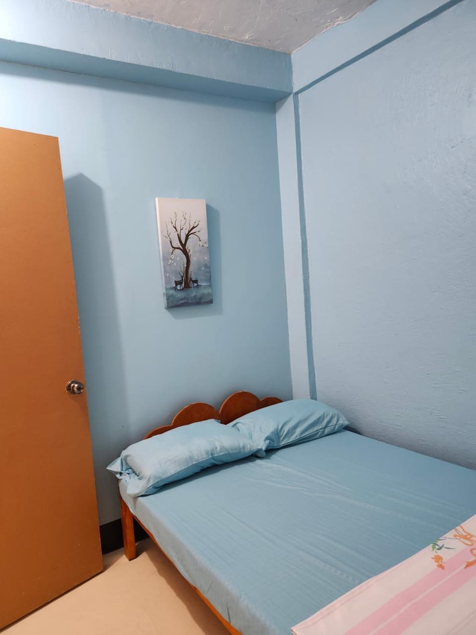 Aunora Standard Room Bed and Breakfast in Central Visayas