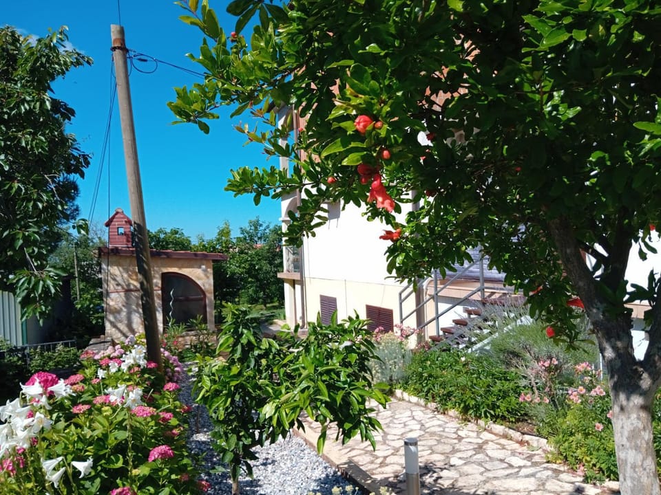 Property building, Day, Garden view