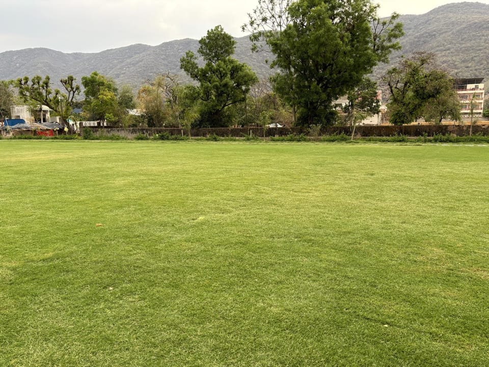 Garden view