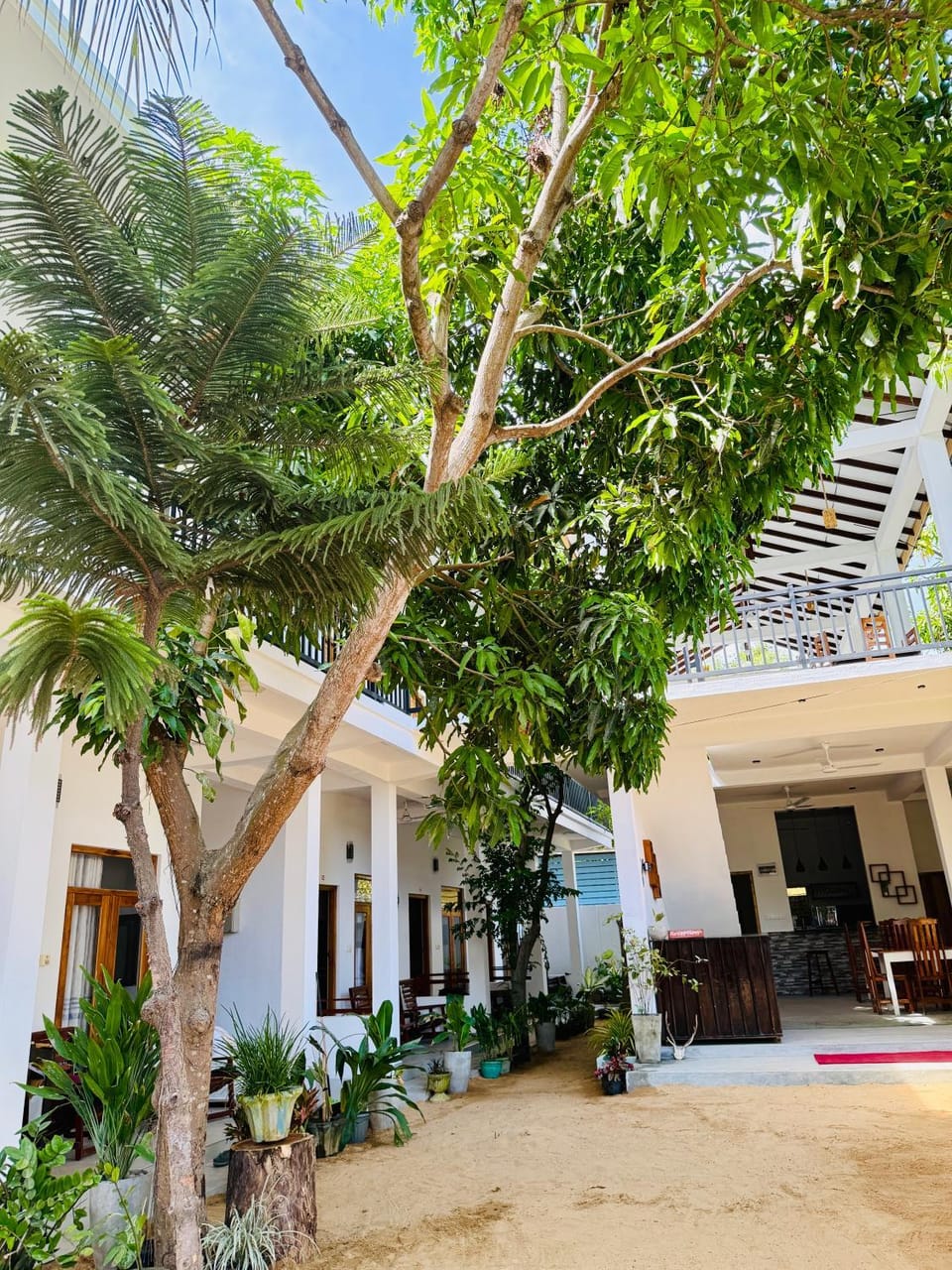 Property building, Garden view