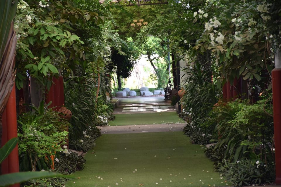 Garden view