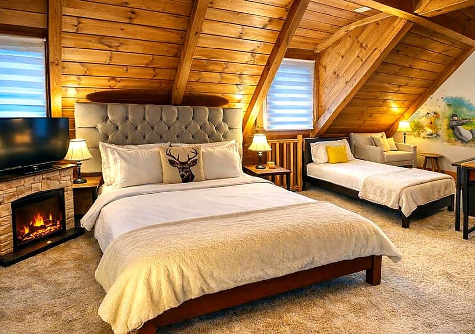 Bed, TV and multimedia, Photo of the whole room, Bedroom