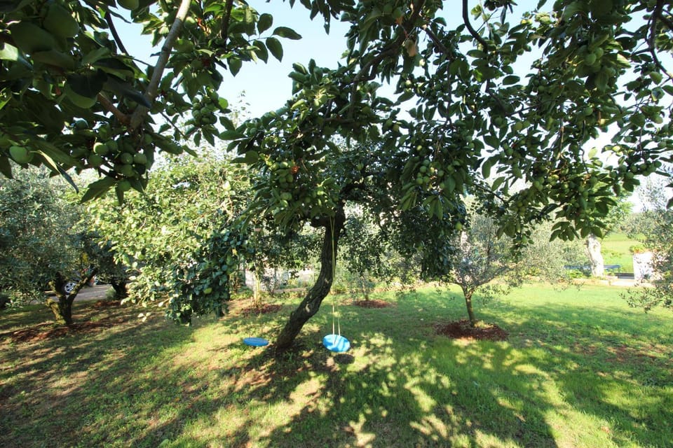 ALMA A2 Apartment in Novigrad