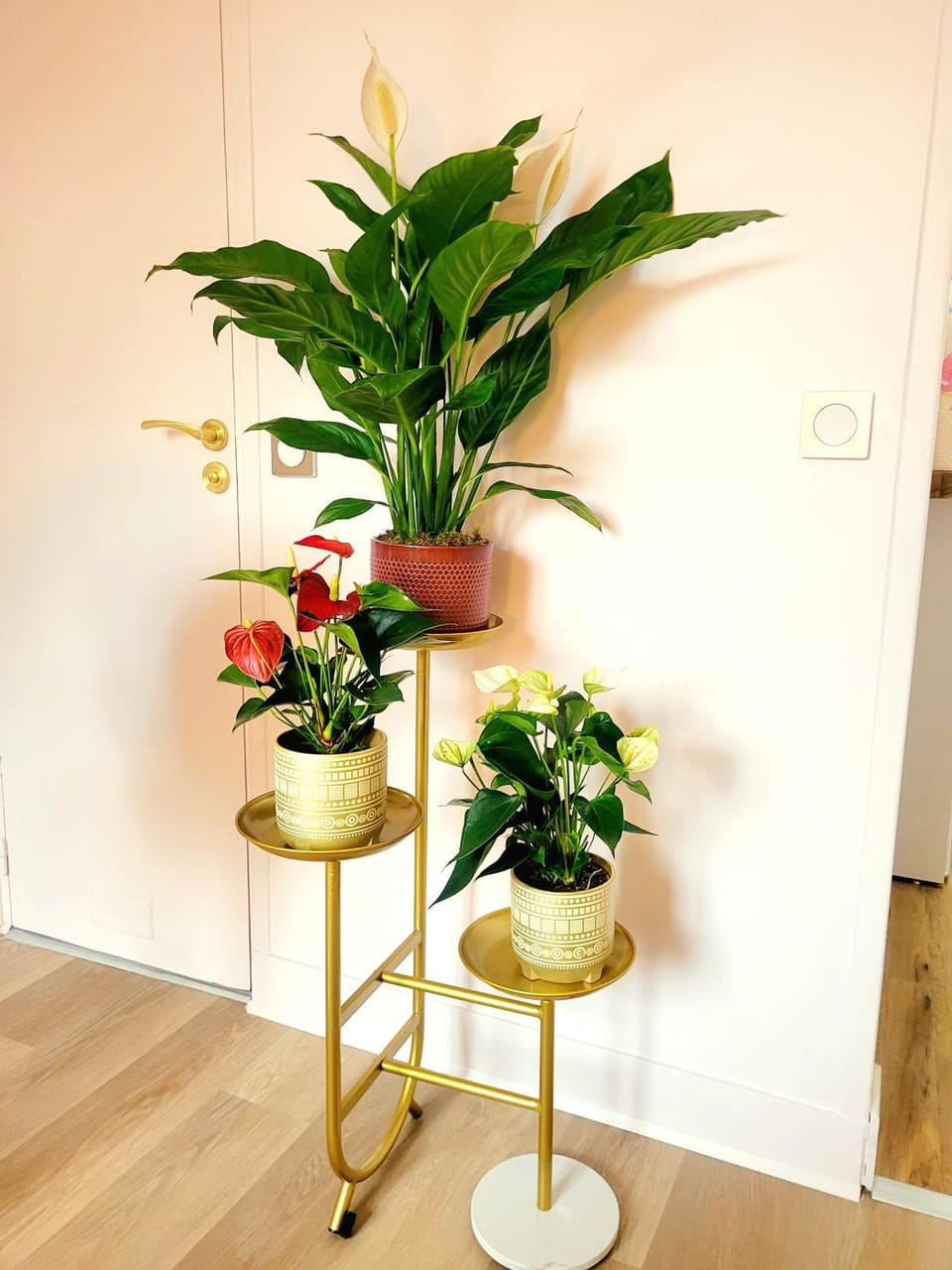 Golden Art Studio Apartment in Saint-Germain-en-Laye