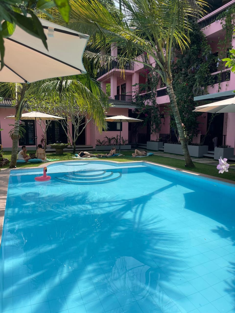 Property building, Day, Garden, Garden view, Pool view, Swimming pool, sunbed