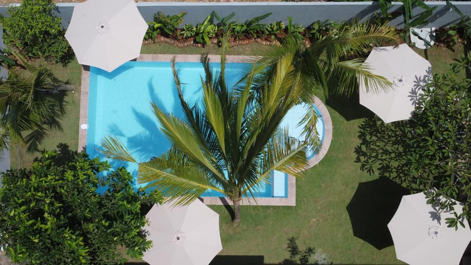 Day, Garden view, Pool view, Swimming pool