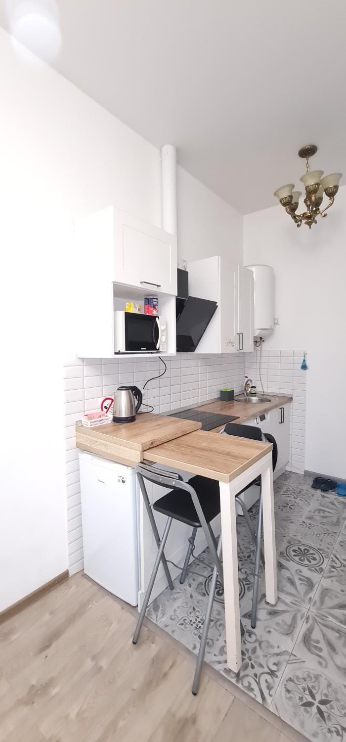 Личаківська 19 Apartment in Lviv