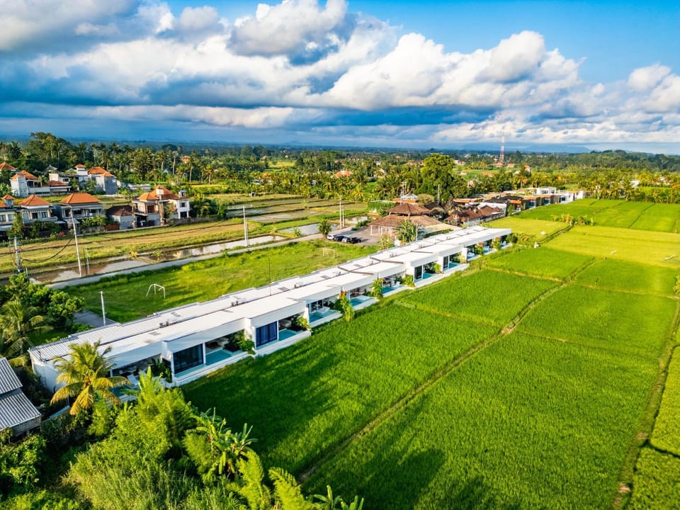 Neighbourhood, Bird's eye view