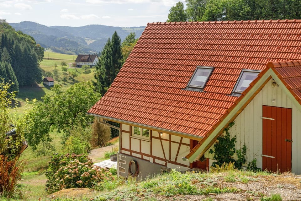 Haus Wiesenruhe House in Ortenau