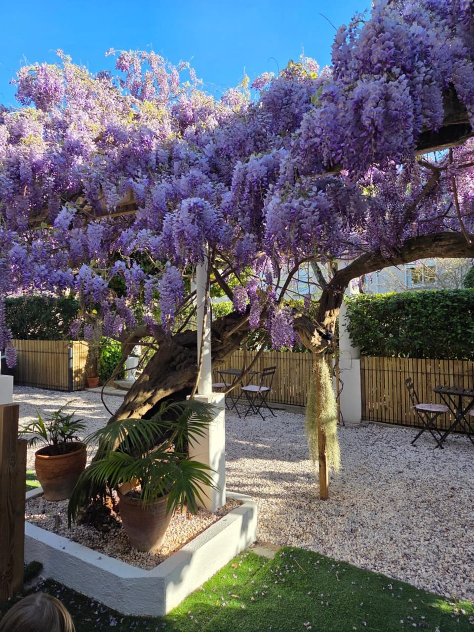 Chez Louis Bed and Breakfast in Roquebrune-sur-Argens
