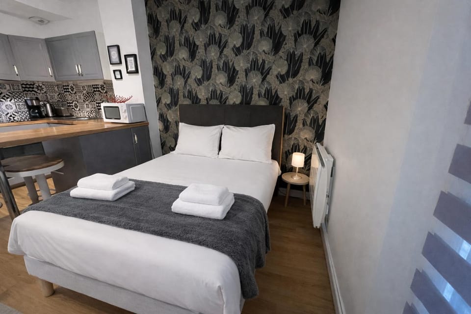 Le Fidji / 100m Gare Apartment in Tours