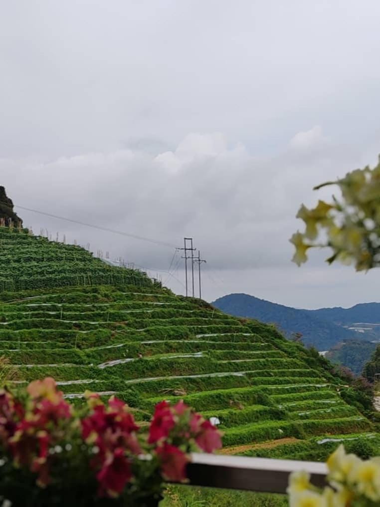 Kensington Sunrise sg, Palas Horizon,kea farm Apartment in Brinchang