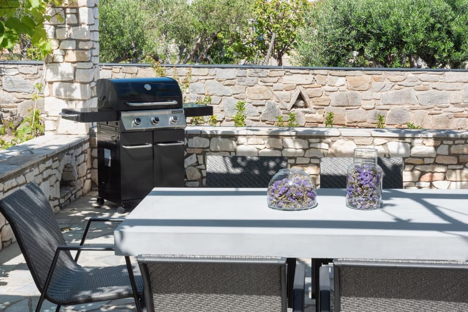Patio, BBQ facilities, Dining area