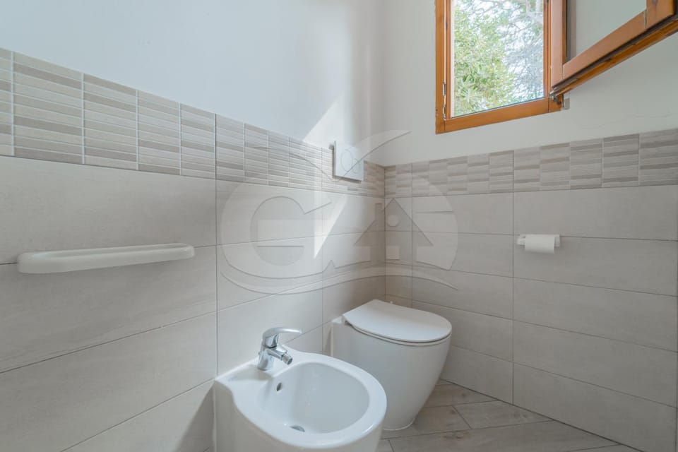 Toilet, Bathroom, bidet