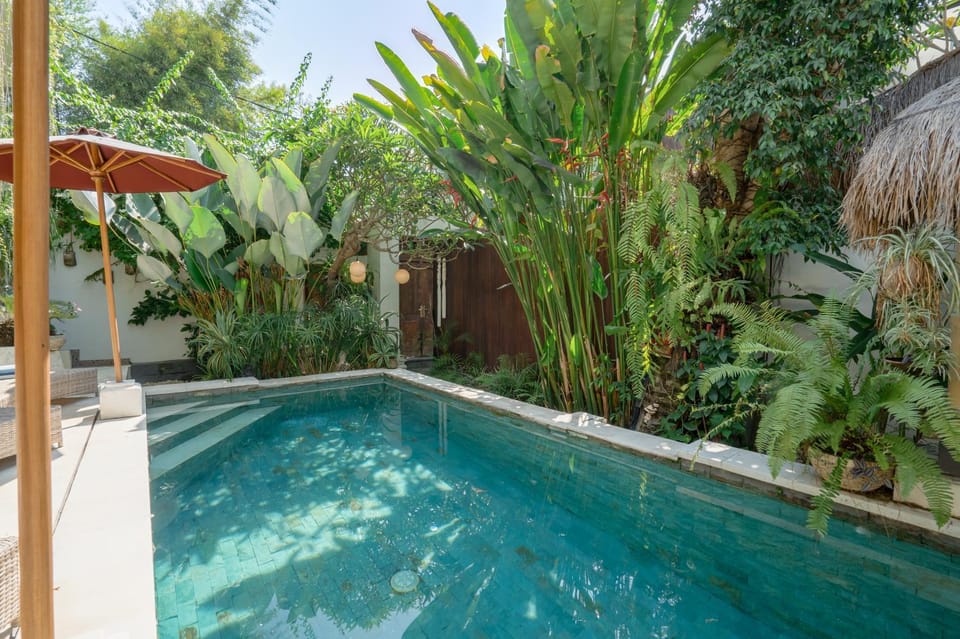 Garden, Garden view, Pool view, Swimming pool