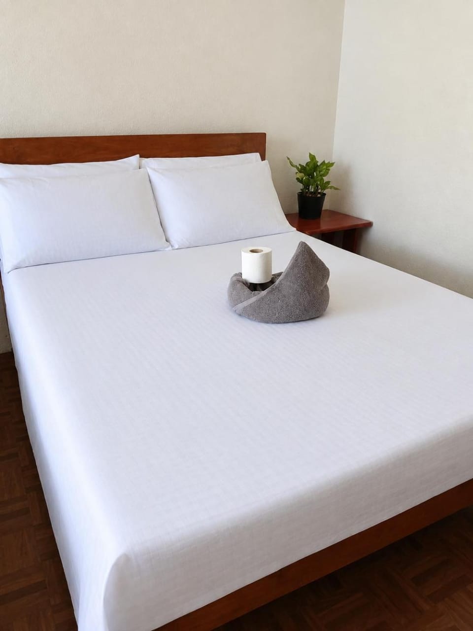 Czar's Place Hostel in Siquijor