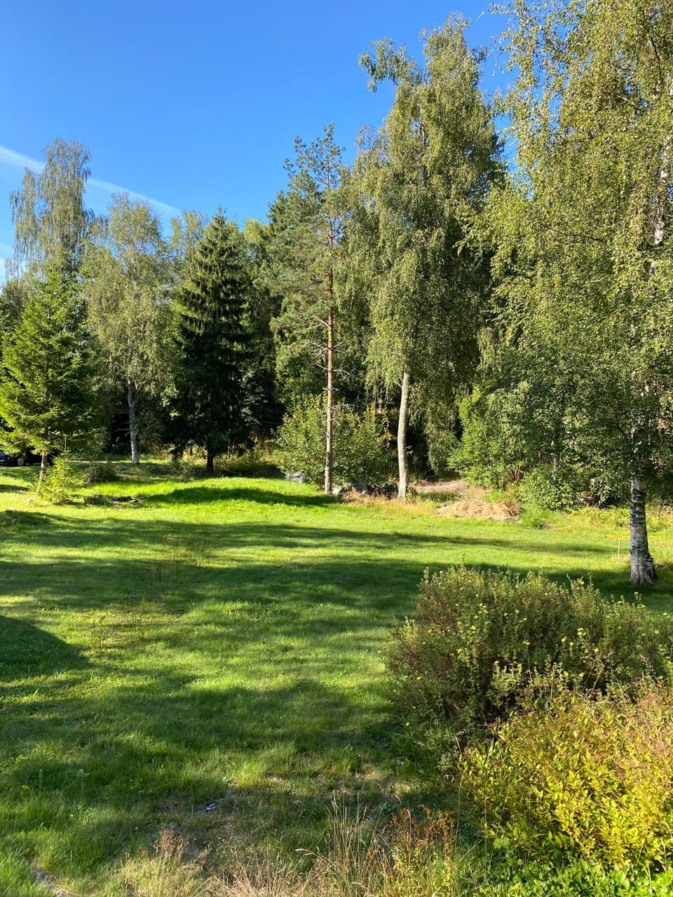 Day, Natural landscape, Garden