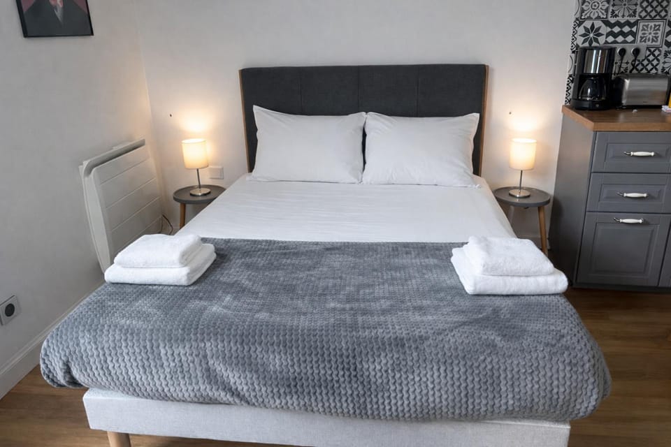 Le Lagon / 100m Gare Apartment in Tours