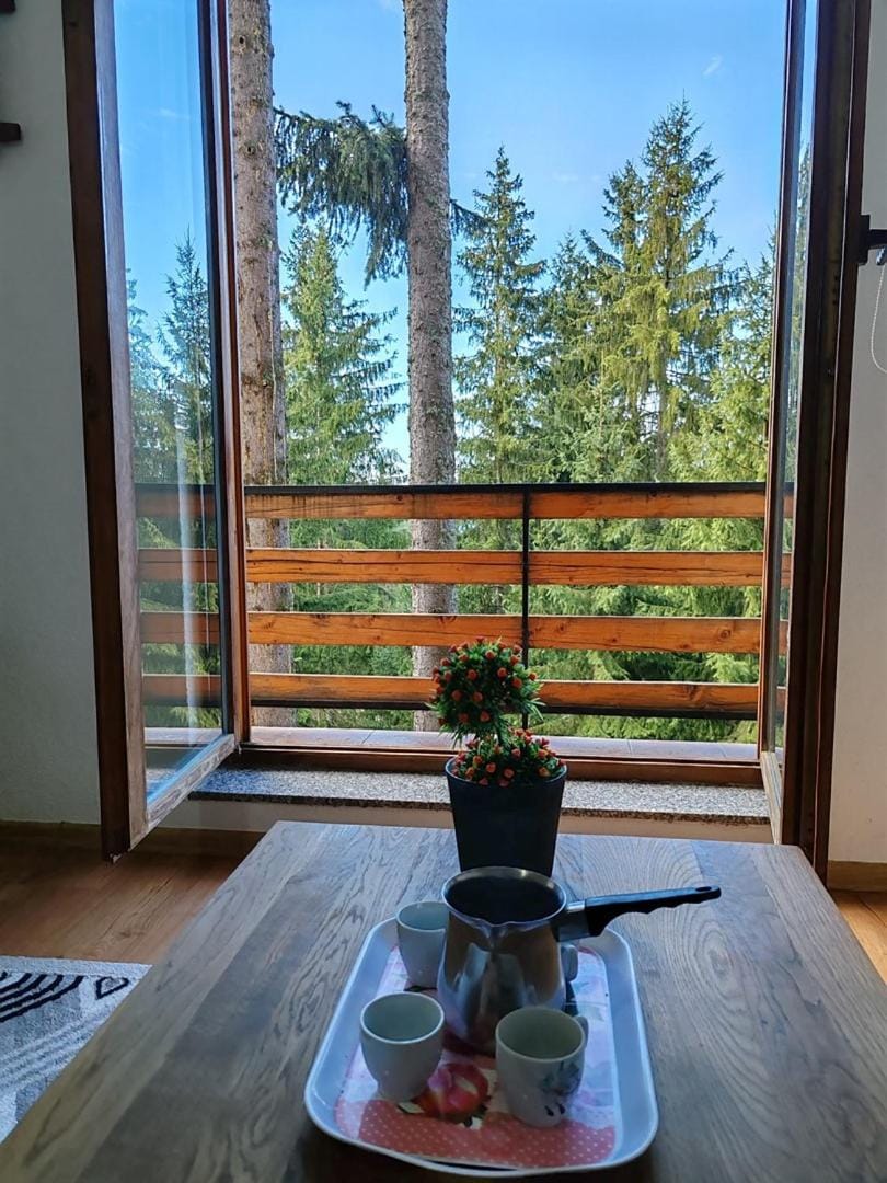 Balcony/Terrace, Mountain view