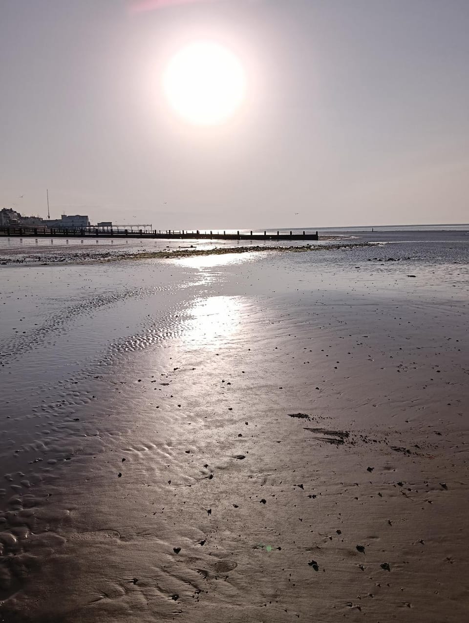 Guest suite 50m from the beach Apartment in Bognor Regis