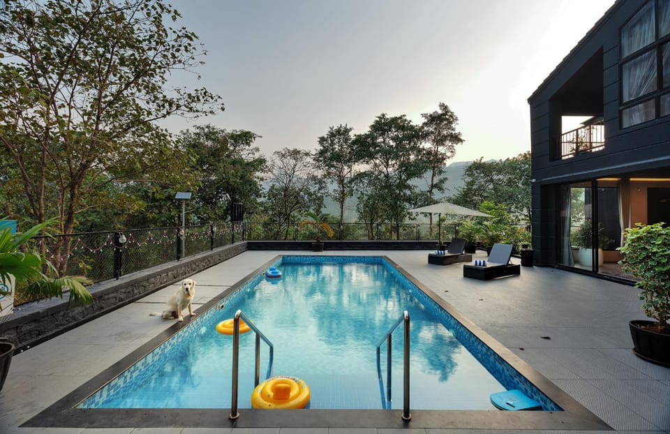 Seating area, Swimming pool, Swimming pool, sunbed
