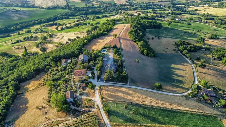 Spring, Day, Neighbourhood, Natural landscape, Bird's eye view, Street view