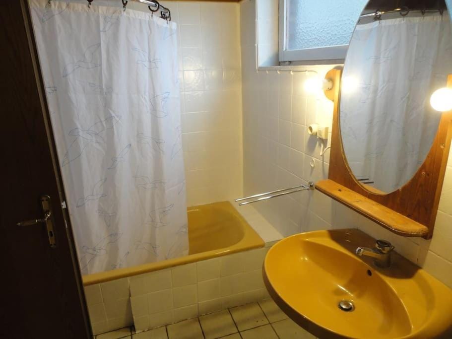 Sonnige Wohnung im Waldgebiet Apartment in Friesland