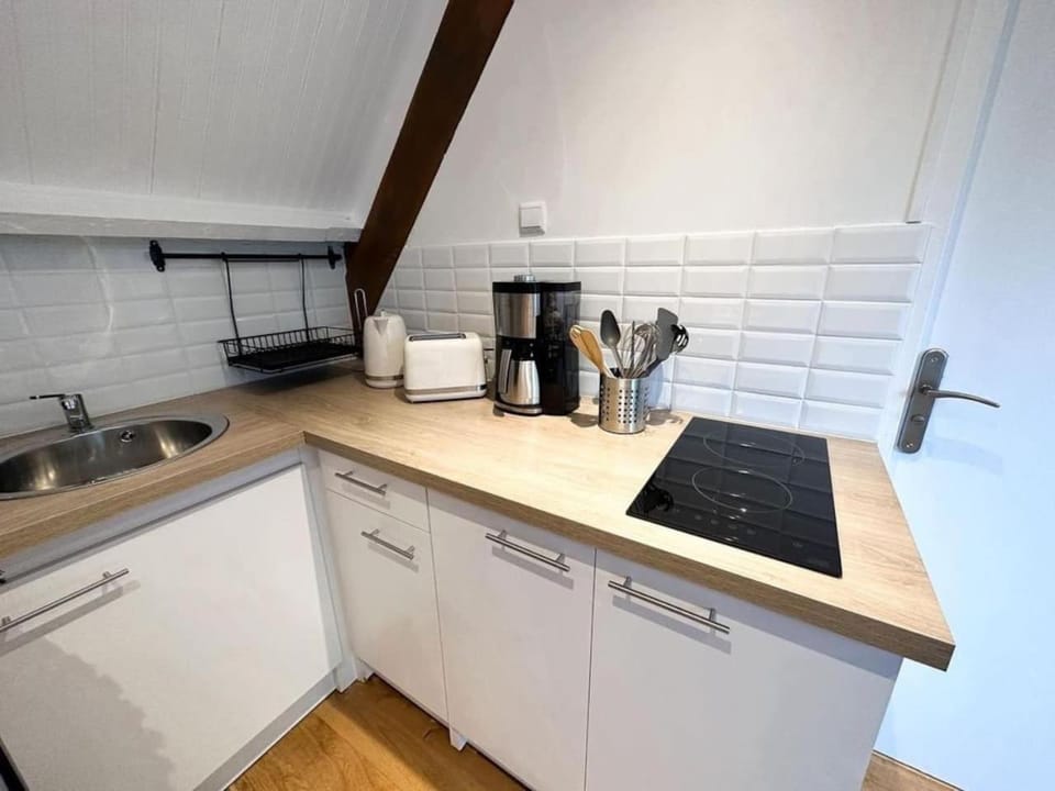 Coffee/tea facilities, Kitchen or kitchenette, minibar, stove, toaster