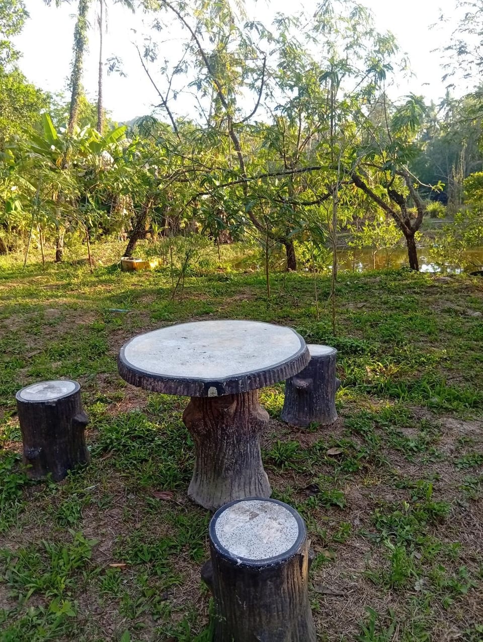Natural landscape, Garden
