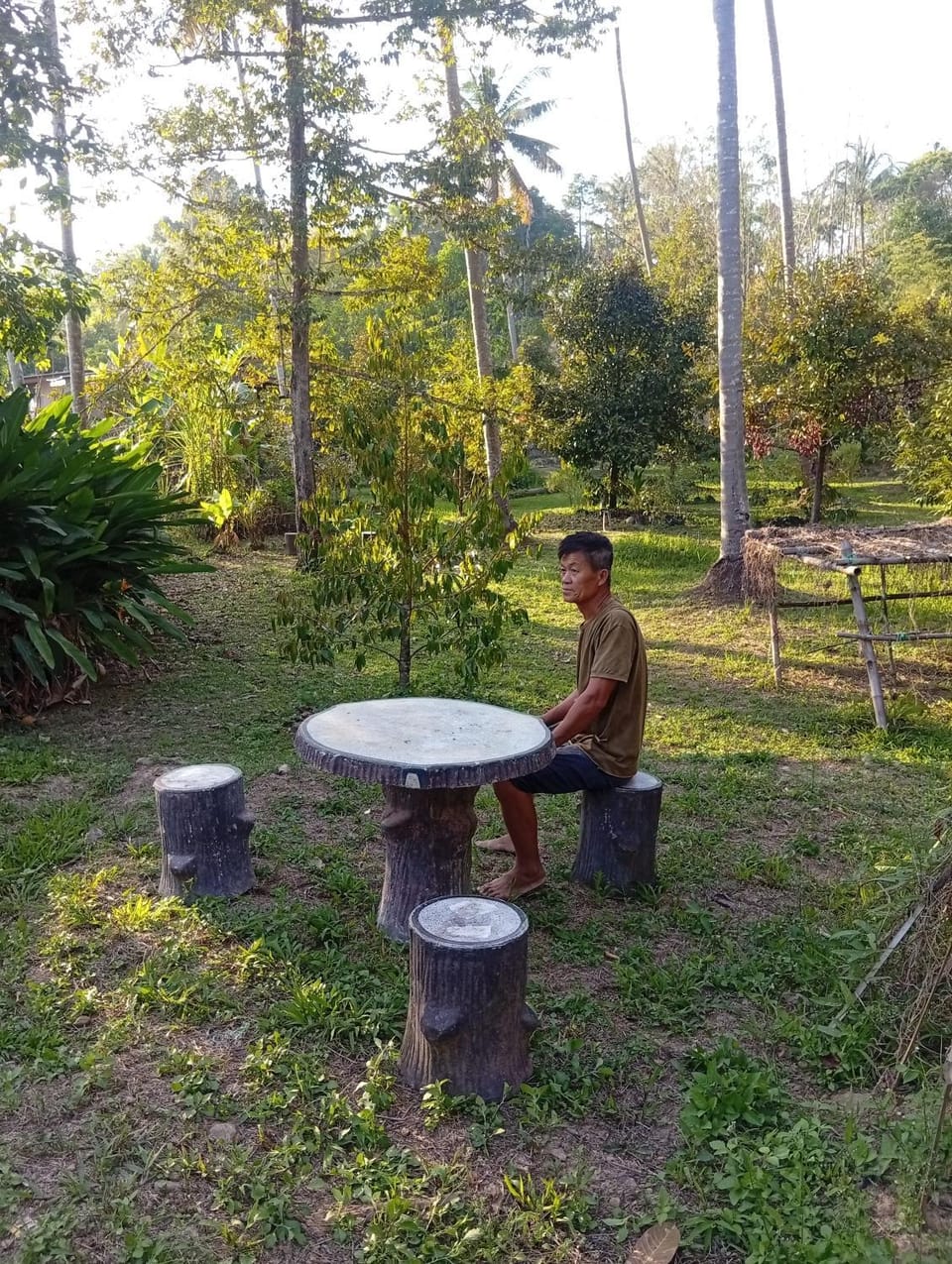 Garden, Garden view