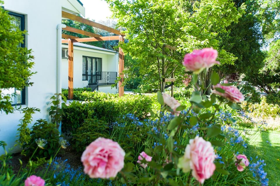 Property building, Patio, Facade/entrance, Garden