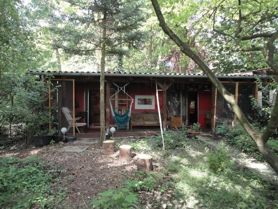 Ponderosa-Hütte im Wald House in Friesland