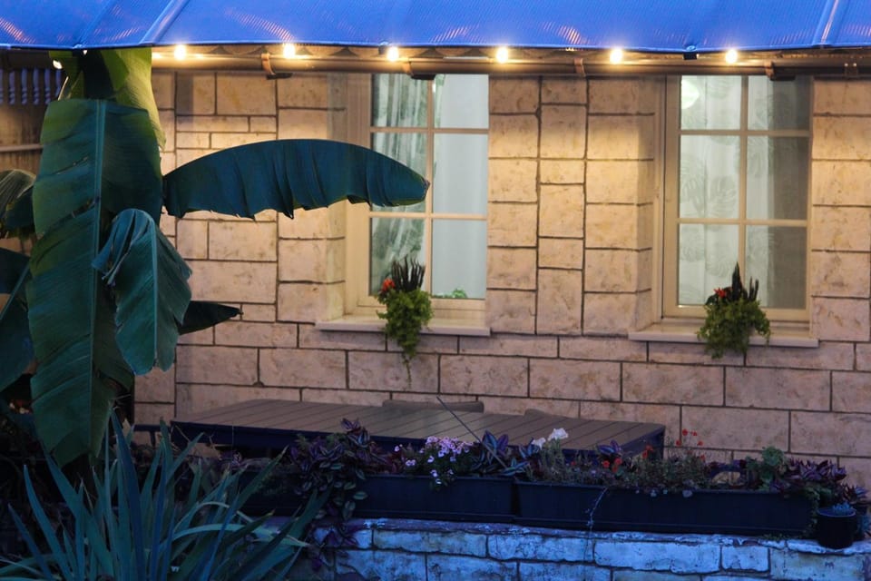 Property building, Garden, Garden view