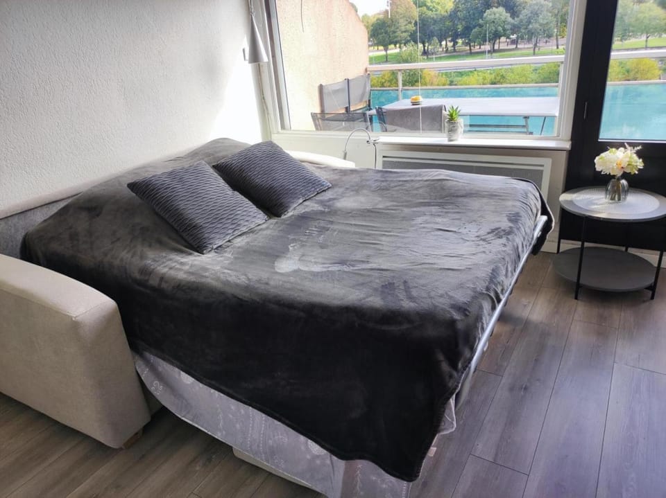 Les rives de l'adour Apartment in Dax