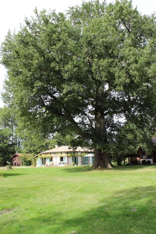 Le gîte de marquin House in Nouvelle-Aquitaine