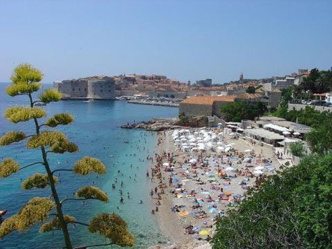 Beach, Area and facilities