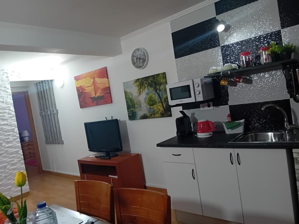 Casa da Tulipa Apartment in Azores District