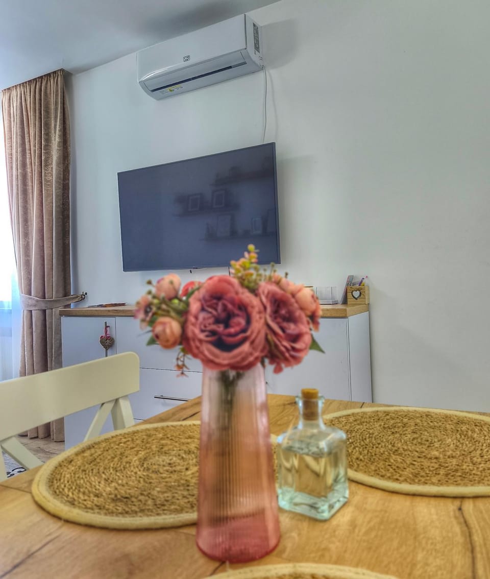 Carolina Apartment in Romania