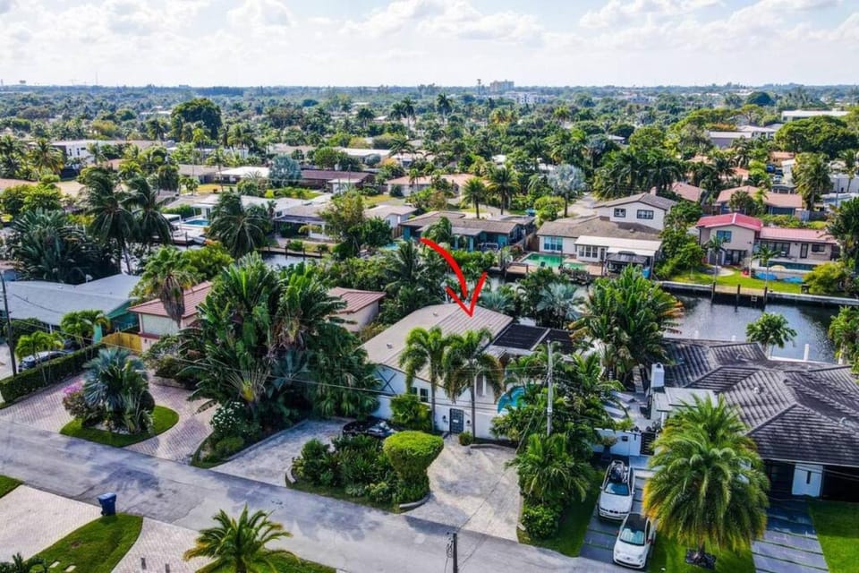 Bird's eye view, Location