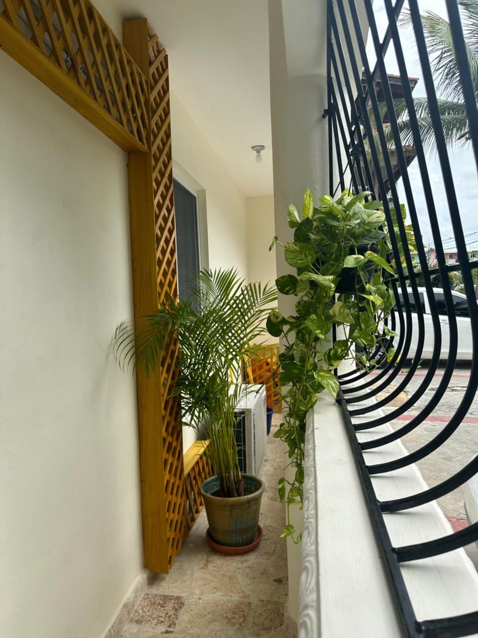 Garden view
